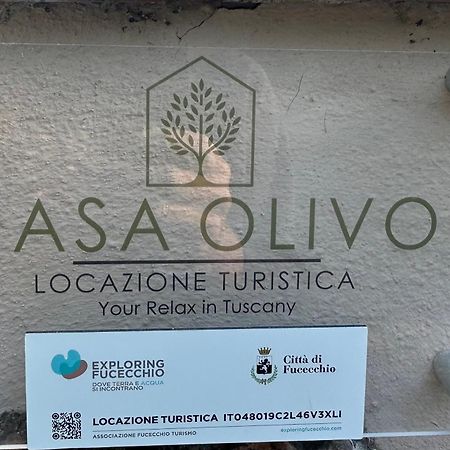 Locazione Turistica Casa Olivo Apartment Fucecchio Exterior photo